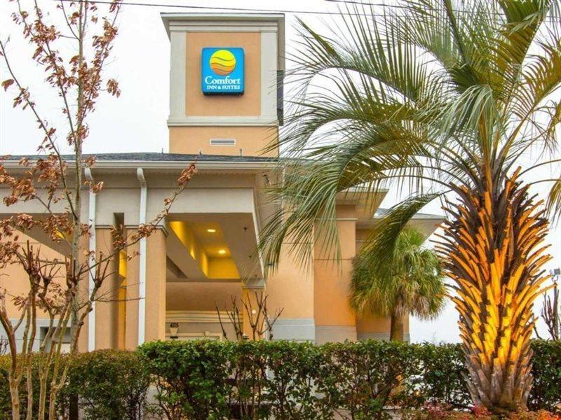 Comfort Inn & Suites Airport Convention Center North Charleston Eksteriør billede