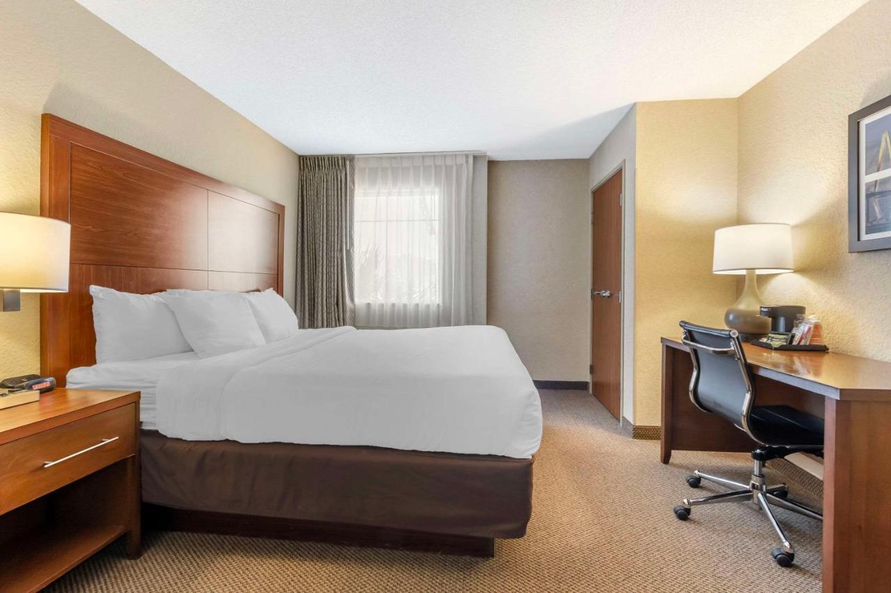 Comfort Inn & Suites Airport Convention Center North Charleston Eksteriør billede